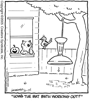 heathcliff